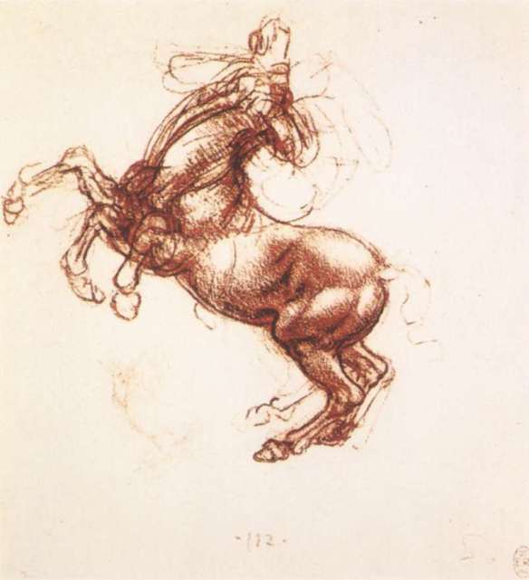 Rearing horse 1503-04 Red chalk and pencil, 153 x 142 mm Royal Library, Windsor.